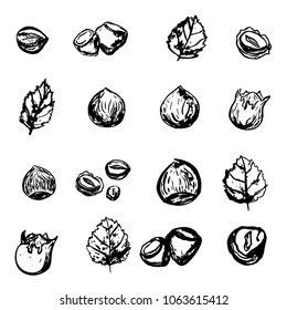 Hazel nut grunge set. Isolated hazelnuts healthy food. Natural walnut snack with leaves. Organic collection