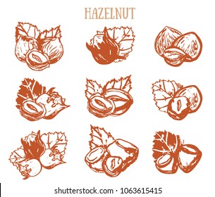 Hazel nut grunge set. Isolated hazelnuts healthy food. Natural walnut snack with leaves. Organic collection