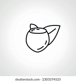 Hazel nut line icon. Hazel nut web linear icon.