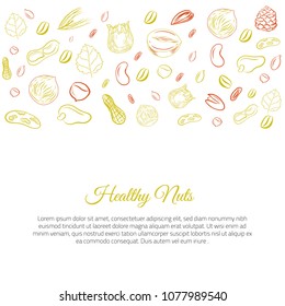 Hazel nut modern banner. Isolated hazelnuts healthy food site header. Natural walnut snack with leaves. Organic collection