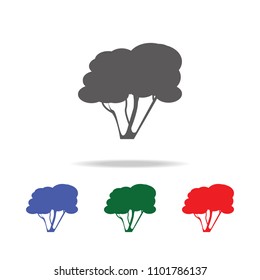 hazel tree icon. Elements of trees in multi colored icons. Premium quality graphic design icon. Simple icon for websites, web design, mobile app, info graphics on white background