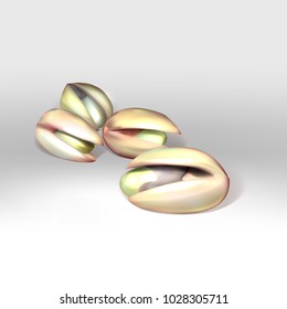 hazelnut,   3d realistic illustration vector set 