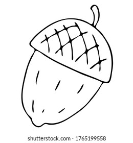 hazelnut, acorn, freehand drawing, vector element in doodle style, coloring book, black outline