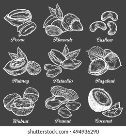 Hazelnut, almond, walnut, peanut, coconut, pecan, pistachio, cashew, nutmeg seed vector. Isolated on black background. Nut milk, butter food ingredient. Engraved hand drawn illustration.