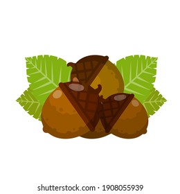 Hazelnut. Autumn harvest of nuts concept. Natural food and a snack in a shell. Acorn. Brown forest object. Flat cartoon illustration