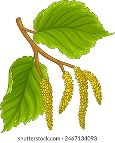 Hazelnut Branch Colored Detailed Illustration.