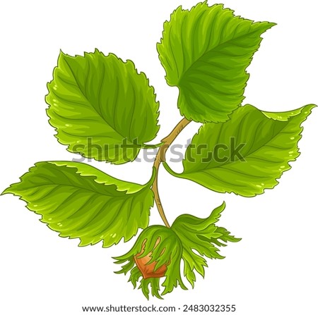 Similar – Image, Stock Photo Blossoms of the hazelnut bush, Corylus avellana