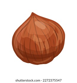 hazelnut brown nut cartoon. eat food, healthy ingredient, object shell, snack hazel, filbert nutshell, hazelnut brown nut vector illustration