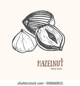 Hazelnut Card Hand Draw Sketch for Restaurants and Cafes. Snack Food. Vector illustration of Natural Vegetarian Eat, Outline styled hazel nuts