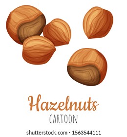 Hazelnut cartoon vector illustration, isolated close-up realistic colorful nut.