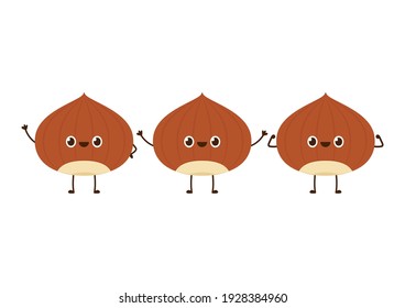 Hazelnut character design. Hazelnut on white background.