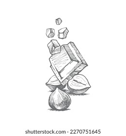 avellanas y chocolate, dibujo a mano alzada en formato vectorial