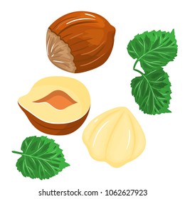 Hazelnut colored icons in cartoon design. Stock vector. Isolated white background.