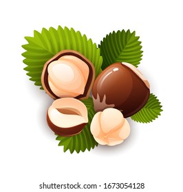 Hazelnut composition, different statements. Whole and cracked nuts, hulled and raw kernels. Good for labels and stickers, packaging design. Vector illustration in cartoon style, groups of objects, iso