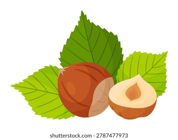 Hazelnut composition with a whole nut in shell, half of peeled kernel, and green leaves. Flat vector illustration for organic food packaging, chocolate labels, and eco branding.