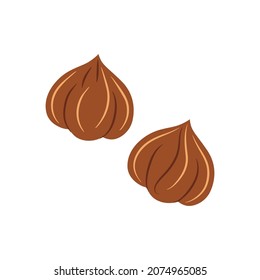 Hazelnut, the core of beige natural color. Vector illustration isolated on a white background for website design of products, applications, printing