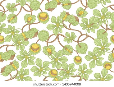 Hazelnut. Decorative motif. Seamless pattern, background. Colored vector illustration. In art nouveau style, vintage, old, retro style. Isolated on white background.