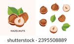 hazelnut design elements set, minimalistic illustration. Botanical elements for design.
