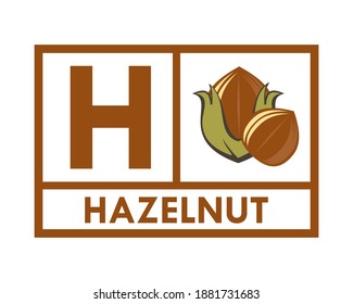 Hazelnut design logo template illustration