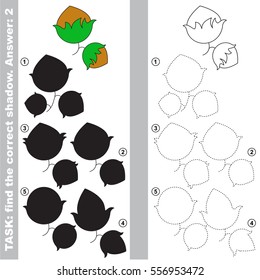 Hazelnut with different shadows to find the correct one, compare and connect object with it true shadow, the educational kid game with simple level of difficulty.