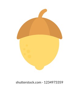hazelnut   dry fruit   food 