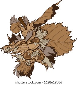 Hazelnut, filbert branch with leaves vector handdraw