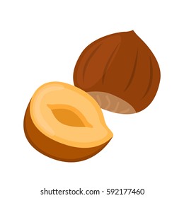 Hazelnut in flat cartoon style. Forest natural nut, organic ripe hazel.