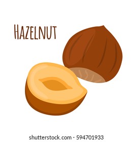 Hazelnut in flat cartoon style. Forest natural nut, organic ripe hazel.