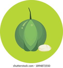 Hazelnut flat icon vegetable design