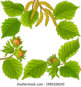 hazelnut frame on white background
