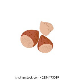Hazelnut, fresh raw ripe peeled nuts kernels. Healthy hazels, cobnuts, vegetarian snack. Filberts fruits, wholesome food, superfood. Stylized flat vector illustration isolated on white background