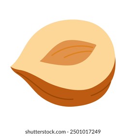 Hazelnut half a kernel ripe and tasty, healthy treat, snacks. Hand drawn trendy flat style isolated Vector illustration