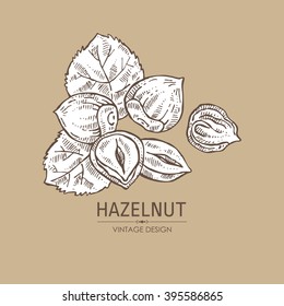 Hazelnut. Hand drawn