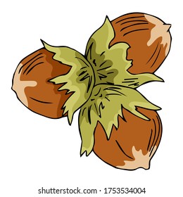 Esbozo dibujado a mano por la avellana. Ilustración vectorial de nueces. Alimentos orgánicos saludables. Ideal para el diseño de envases. Alimentos orgánicos, cosméticos, componente de tratamiento.