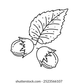 Avellana dibujada a mano aislada sobre un fondo blanco, la ilustración lineal de Vector de una nuez con una hoja es conveniente para colorear, imprimir y diseñar