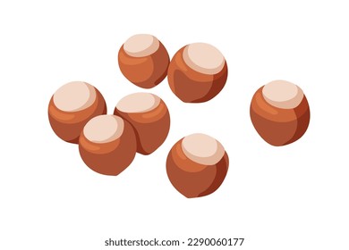 Hazelnut, filetes con caparazón duro. Composición entera de castañas dispersas. Nueces de avellanas frescas secas. Frutas maduras saludables. Ilustración vectorial plana aislada en fondo blanco