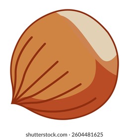 hazelnut healthy snacks nature food flat color vector illustration template design