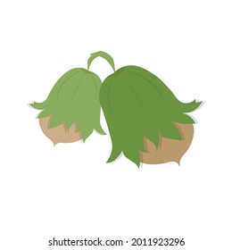 Hazelnut icon art design element food plant stock vector illustration for web, for print