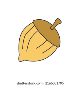 hazelnut icon in color, isolated on white background 