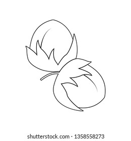hazelnut icon. Element of nuts for mobile concept and web apps icon. Outline, thin line icon for website design and development, app development