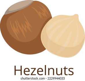 Hazelnut icon. Forest nut. Cartoon healthy snack