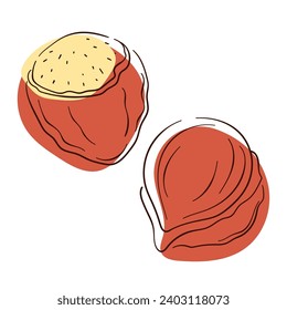 Hazelnut icon in line art style. Nut flat logo for menu design, cafe, shops. Vector illustration isolated on a white background.