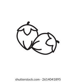 Hazelnut icon line art vector