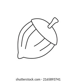 hazelnut icon in line style icon, isolated on white background