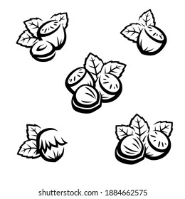 Hazelnut icon set. Collection icon hazelnut nuts. Vector