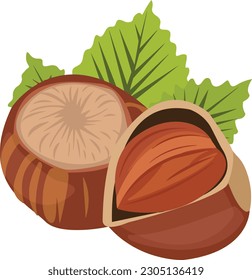 Hazelnut Illustration, Hazelnut Vector, Hazel Nut Fruit