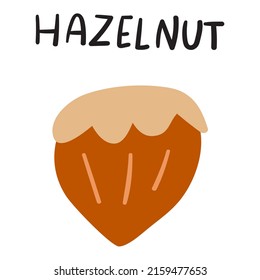 Hazelnut illustration. Vector icon on white background. 