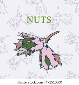Hazelnut ink illustration. Useful for ads, signboards, packaging, menu design, interior decorating and other design.