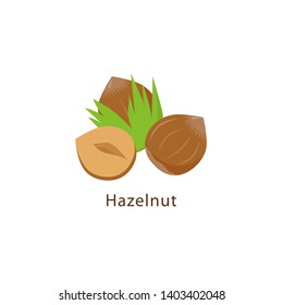 Hazelnut isolated on white background vector illustration in flat design.