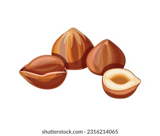 Hazelnut isolated on white background. Vector illustration of a tasty handful peeled and whole hazelnuts in cartoon style. Hazel icon. Healthy, organic snacks.
